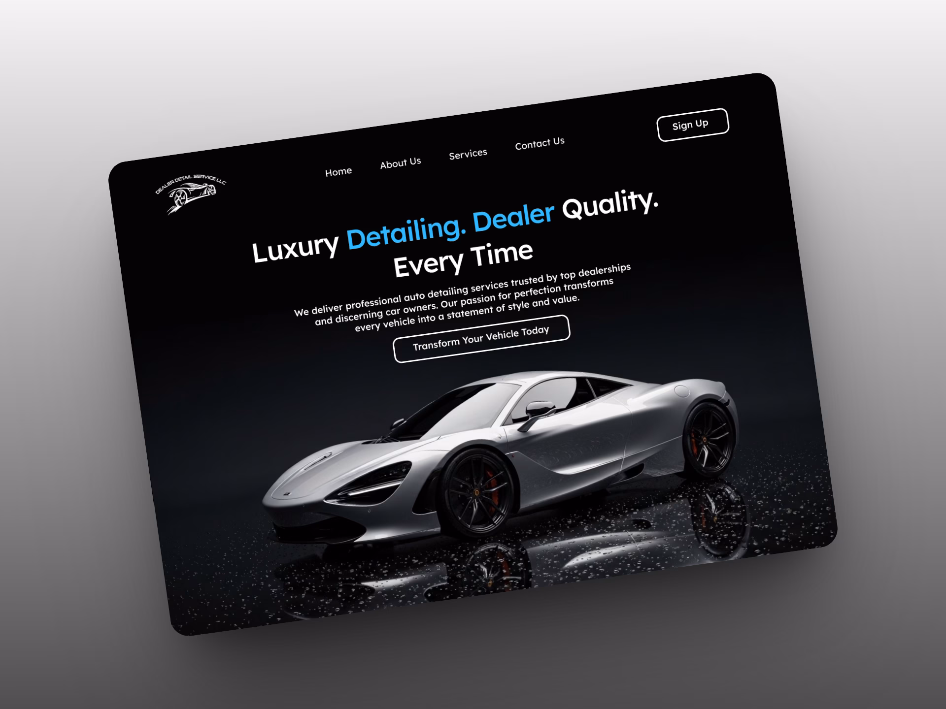 detailservice website mock up